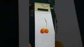 대봉감 수묵담채 한국화 - 벽초 서상우