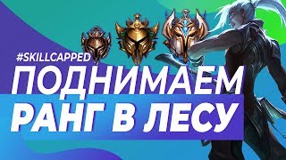 ОСНОВНЫЕ ОШИБКИ ЛЕСНИКОВ НА ЛЮБОМ ЭЛО | ПЕРЕВОД | SHARKZ