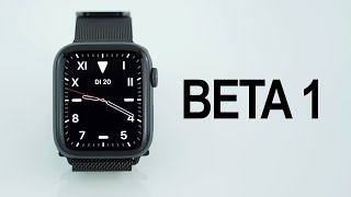 watchOS 6 Beta 1 Review
