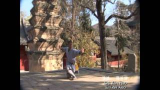 Shaolin Yi Lu Luohan Quan 少林一路罗汉拳