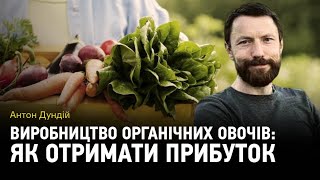 Чому вигідно інвестувати у виробництво органічних овочів?