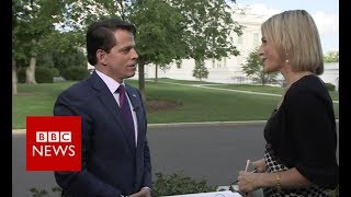 Scaramucci: US is 'a disruptive startup' - BBC News