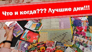 Когда и что посеять в феврале. Лунный посевной календарь Февраль 2020