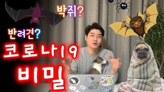 신종 코로나바이러스, 강아지는 안전할까? 2019-nCoV , 新種 - 感染症