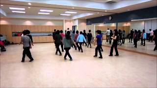 Give it a Go ~ Ria Vos - Line Dance (Walk thru & Danced)