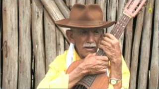 [ Um Brasil de Viola ] Seu Zé Ribeiro - Lontra (MG)