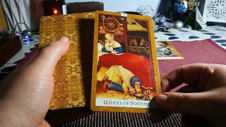 Koziorożec ♑ Luty 2020 | Czytanie Tarota | Inner Vision Tarot