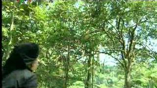 Trở Lại ATK Định Hóa  - Phần 1