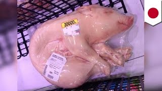 Mała świnka do kupienia w supermarketach w Japonii.