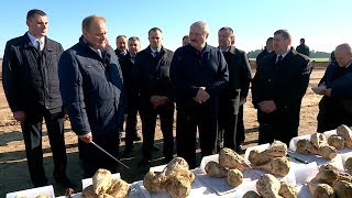 Лукашенко ознакомился с ходом осенних полевых работ в Беларуси