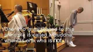 Buddhism: Observing Your Mind
