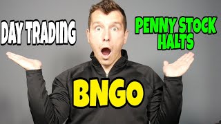 How To Day Trade Penny Stock Halts