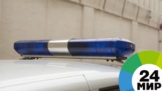 Новозеландский стрелок призывал убить Меркель и Эрдогана - МИР 24