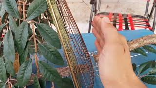 BẢNG GIÁ LỤP CU GÁY THAY ĐỖI TỪ NGÀY 1/3/2019 CHO KHÁCH ĐẶT MỚI