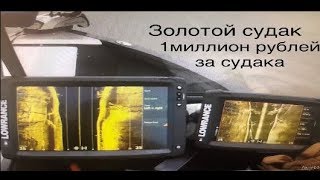 Ловля трофейного судака "Золотой судак", 1 миллион рублей за два дня