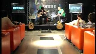 Дмитрий Малолетов о гитаре JET UAT 253. Звучание. Тэппинг