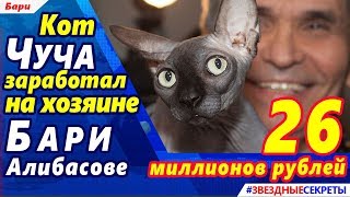 ? Кот Чуча заработал на хозяине Бари Алибасове 26 миллионов рублей