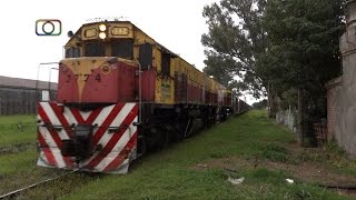 Tren de Belgrano Cargas y Logística pasando por El Tío