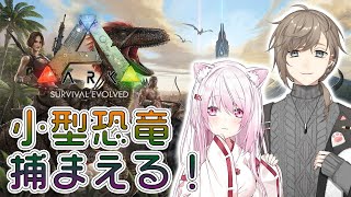 【ARK: Survival Evolved】かなかなと洞窟探検準備(・ω・)ノ小型恐竜いるかな～【椎名唯華/にじさんじ】