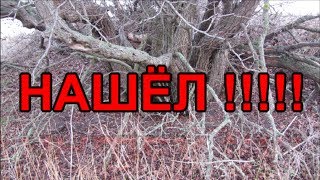 НЕОЖИДАННАЯ НАХОДКА НА СТАРОМ ДОЛБАНОМ ХУТОРЕ !!! Кладоискатели - Украина! (Коп монет 2017).