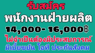 รับสมัคร พนักงานฝ่ายผลิต 16000 บาท มีเบี้ยขยัน โอที สวัสดิการต่างๆ