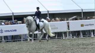 Спасская Башня 2012.Инесса Потураева.Pura Raza Espanola.