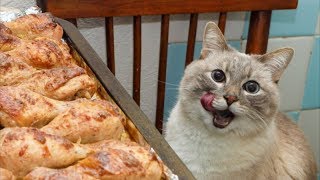 НОВЫЕ ПРИКОЛЫ С КОШКАМИ 2019! Смешные Коты и Собаки. ПРИКОЛЫ С ЖИВОТНЫМИ. #19