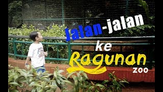 #VLOG3 - Jalan-jalan ke Kebun Binatang Ragunan Jakarta - Ragunan Zoo