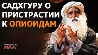 О пристрастии к опиоидам | Садхгуру
