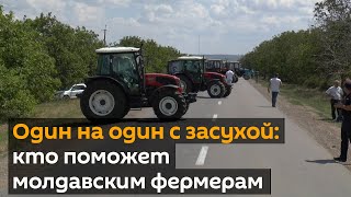 Новые протесты аграриев на юге Молдовы: что требуют сельхозпроизводители