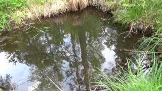 Поиск золотых самородков! По золотоносным ручьям! Часть 3 -  Шурф!!!In the gold-bearing creeks!Pit!