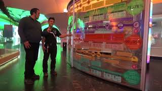 Grandes extinciones en el planeta