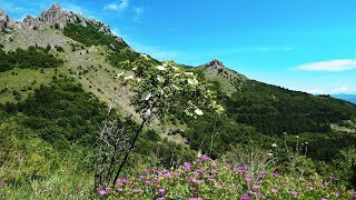 ? КАНАКА. КРЫМ. ГОРЫ зовут. КАРАБИ -ЯЙЛА. Активный ОТДЫХ в КРЫМУ.