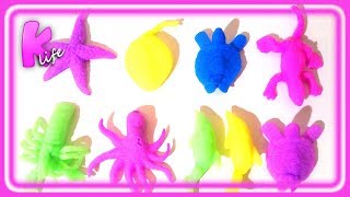 УЧИМ ЖИВОТНЫХ для самых маленьких. Развивающие видео для малышей.