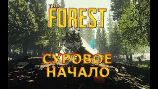 The Forest V 1.0 Релиз игры. Крушение самолета. №1