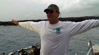 What is Manta ray night dive at Garden Eel Cove