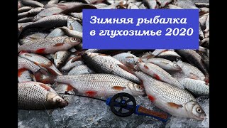 Зимняя рыбалка - 2020. Ловля плотвы в глухозимье 2020.