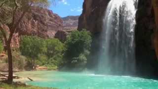 Havasu Falls Adventure