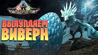 ПРАВИЛЬНАЯ ЗАБОТА О ДЕТЕНЫШАХ ВИВЕРНЫ - ARK VALGUERO