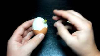 Насадка вареное яйцо. Вареное яйцо как насадка для рыбалки. Яичный белок на рыбалку