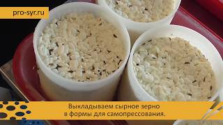 Как приготовить вкуснейший сыр качотта в домашней мини-сыроварне - пошаговый рецепт!