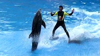 Teneriffa - Delfin-Show - Loro Park