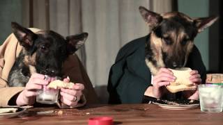 Odin and Pippin Try To Have Dinner Together