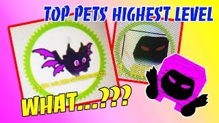 PETS HAVE HIGHEST LEVEL AND INCREASE MOST AFTER UPGRADE IN PET SIMULATOR (Roblox)