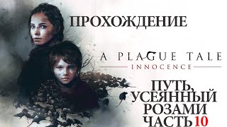 Обзор/ Прохождение  A Plague Tale Innocence: глава 10 "Путь, усеянный розами"