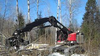petits Winter Logging inc