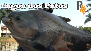 PESQUEIRO LAGOA DOS PATOS - 2020 - Pescando com Minhoca