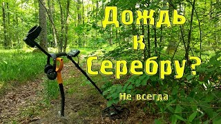 Дождь к Серебру? Не всегда. Коп монет в лесу с Квазар АРМ.