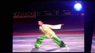 Maître ZHANG Xiao Yan, 張小燕 Paris Bercy  2009
