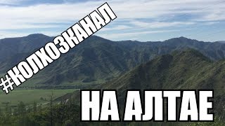 Орел и решка по колхозному. Горный Алтай.